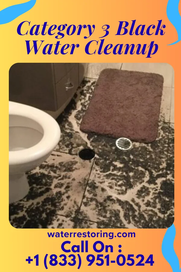 Category 3 Black Water Cleanup in Moses Lake North, WA