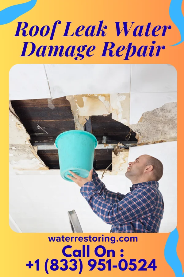 Roof Leak Water Damage Repair in Moses Lake North, WA